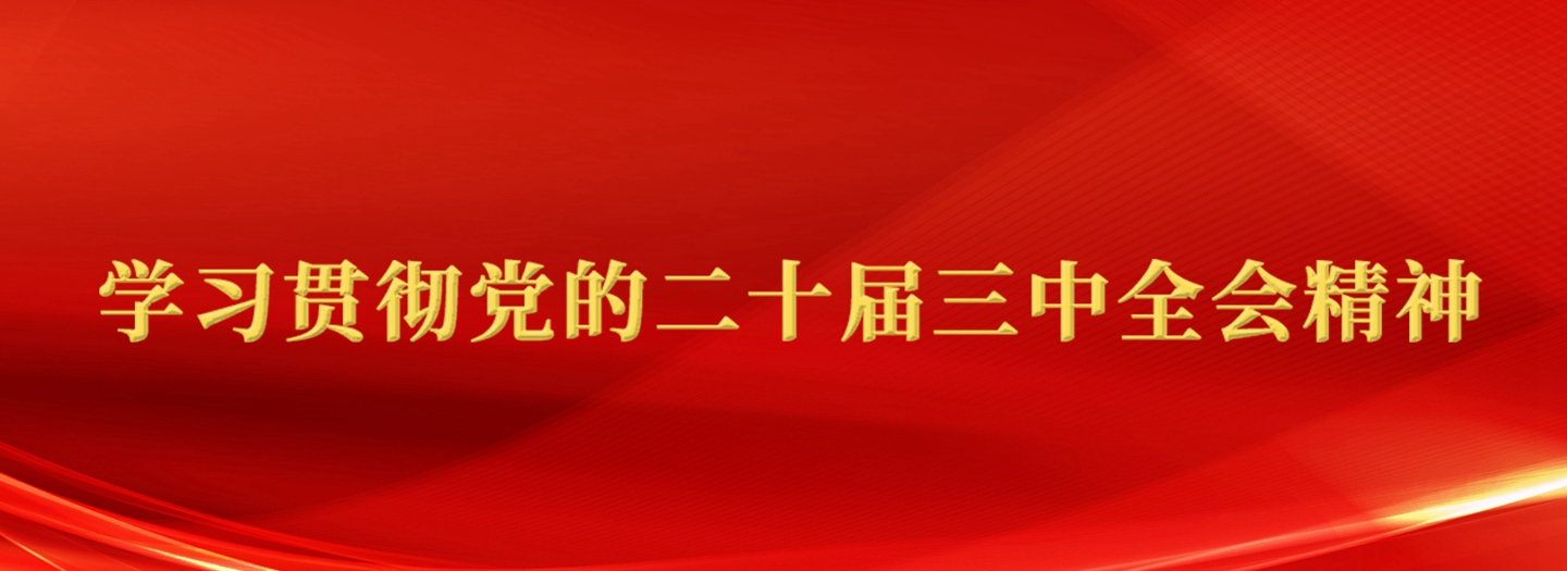 學(xué)習(xí)貫徹黨的二十屆三中全會精神